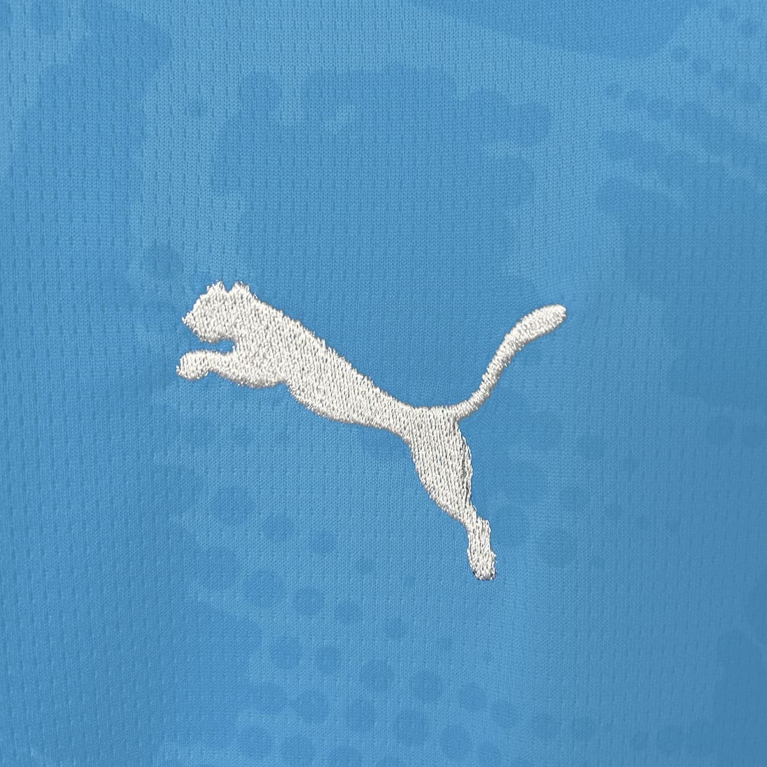 Detalhe do logo Puma na camisa de goleiro Palmeiras 2025