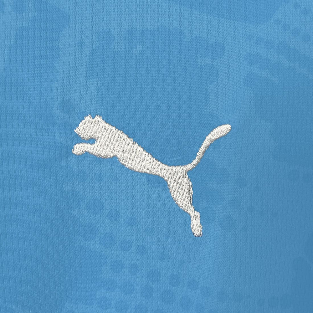 Detalhe do logo Puma na camisa de goleiro Palmeiras 2025