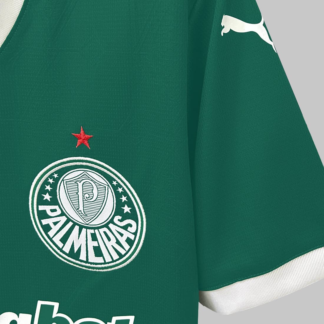 Camisa Palmeiras I 25/26 Masculina - Verde