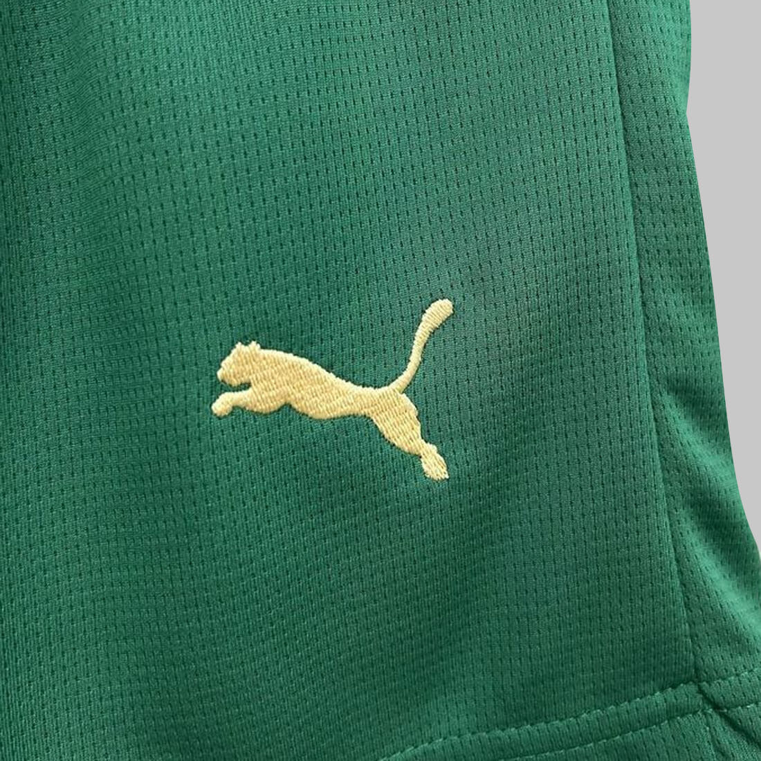 Kit Infantil Palmeiras III 24/25 - Dourado+Verde